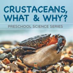 Crustaceans What & Why?