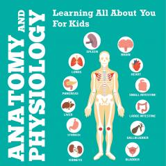 Anatomy And Physiology