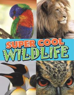 Super Cool Wildlife