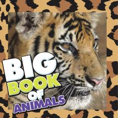 Big Book of Animals