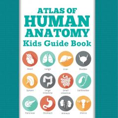 Atlas Of Human Anatomy