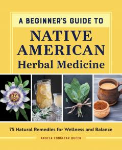 A Beginner's Guide to Native American Herbal Medicine