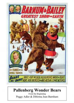 Pallenberg Wonder Bears - From the Beginning