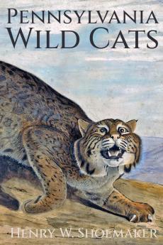 Pennsylvania Wild Cats