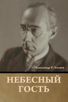 Небесный гость