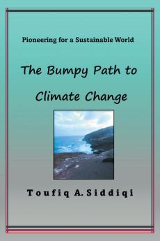 The Bumpy Path to Climate Change