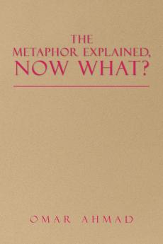 The Metaphor Explained Now What?