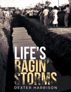 Life's Ragin' Storms