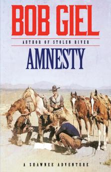 Amnesty