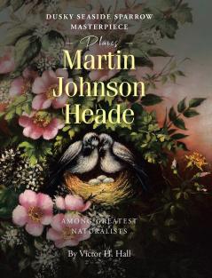 Dusky Seaside Sparrow Masterpiece Places Martin Johnson Heade Amongst Greatest Naturalists