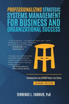 Professionalizing Strategic Systems Management for Business and Organizational Success