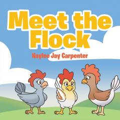 Meet the Flock