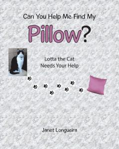 Can You Help Me Find My Pillow?