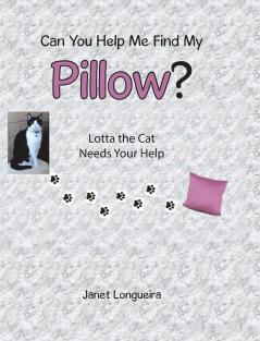Can You Help Me Find My Pillow?