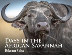 Days in the African Savannah