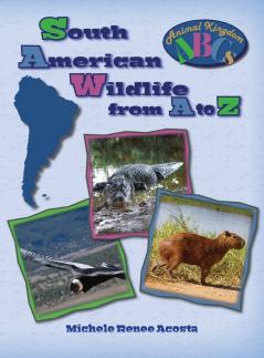 South American Wildlife from A to Z