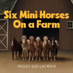 Six Mini Horses On a Farm