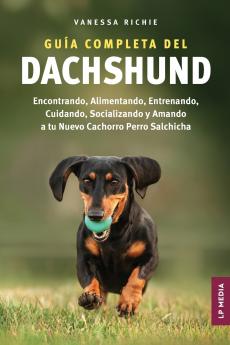 Guía completa del Dachshund