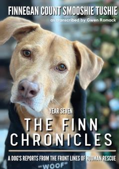 The Finn Chronicles