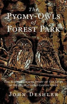 The Pygmy-Owls of Forest Park
