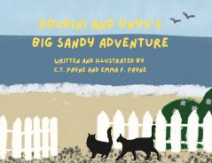 Houdini and Onyx's Big Sandy Adventure