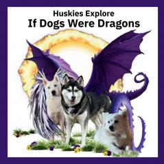 Huskies Explore If Dogs Were Dragons