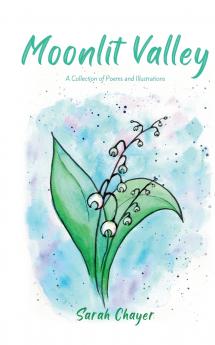 Moonlit Valley
