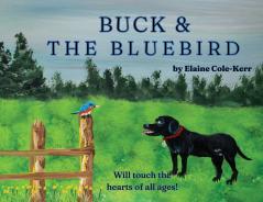 Buck and The Bluebird