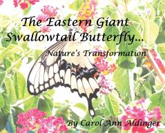 The Eastern Giant Swallowtail Butterfly