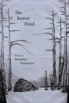 The Beaver Pond