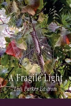A Fragile Light