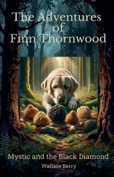 Mystic and the Black Diamond