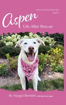 Aspen Life After Rescue