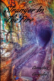 Stranger In The Fire