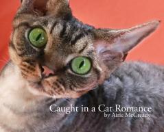 Caught in a Cat Romance