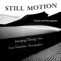 STILL MOTION