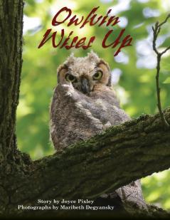 Owlvin Wises Up