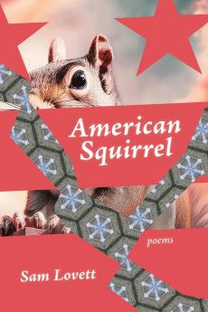 American Squirrel