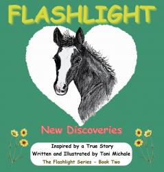 Flashlight - New Discoveries