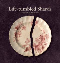 Life-Tumbled Shards