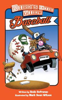 Birds Eye View of Baseball