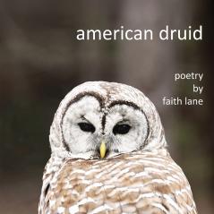 american druid