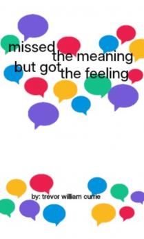 missed the meaning but got the feeling