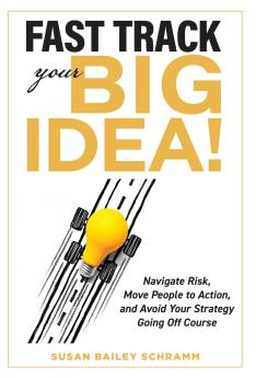 Fast Track Your Big Idea! Navigate Risk Move People to Action and Avoid Your Strategy Going Off Course