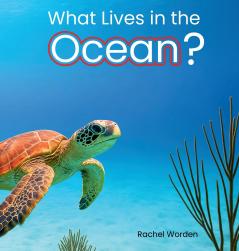What Lives in the Ocean? (Habitat Series)
