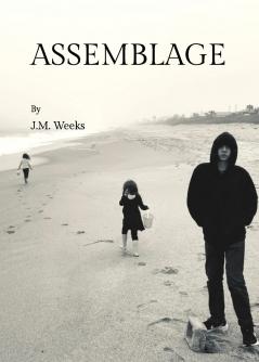 Assemblage