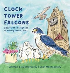 Clock Tower Falcons