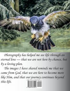 God Wants Us Back - And This Is His Plan