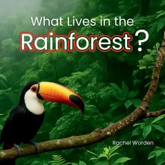What Lives in the Rainforest?