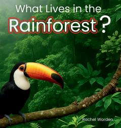 What Lives in the Rainforest?